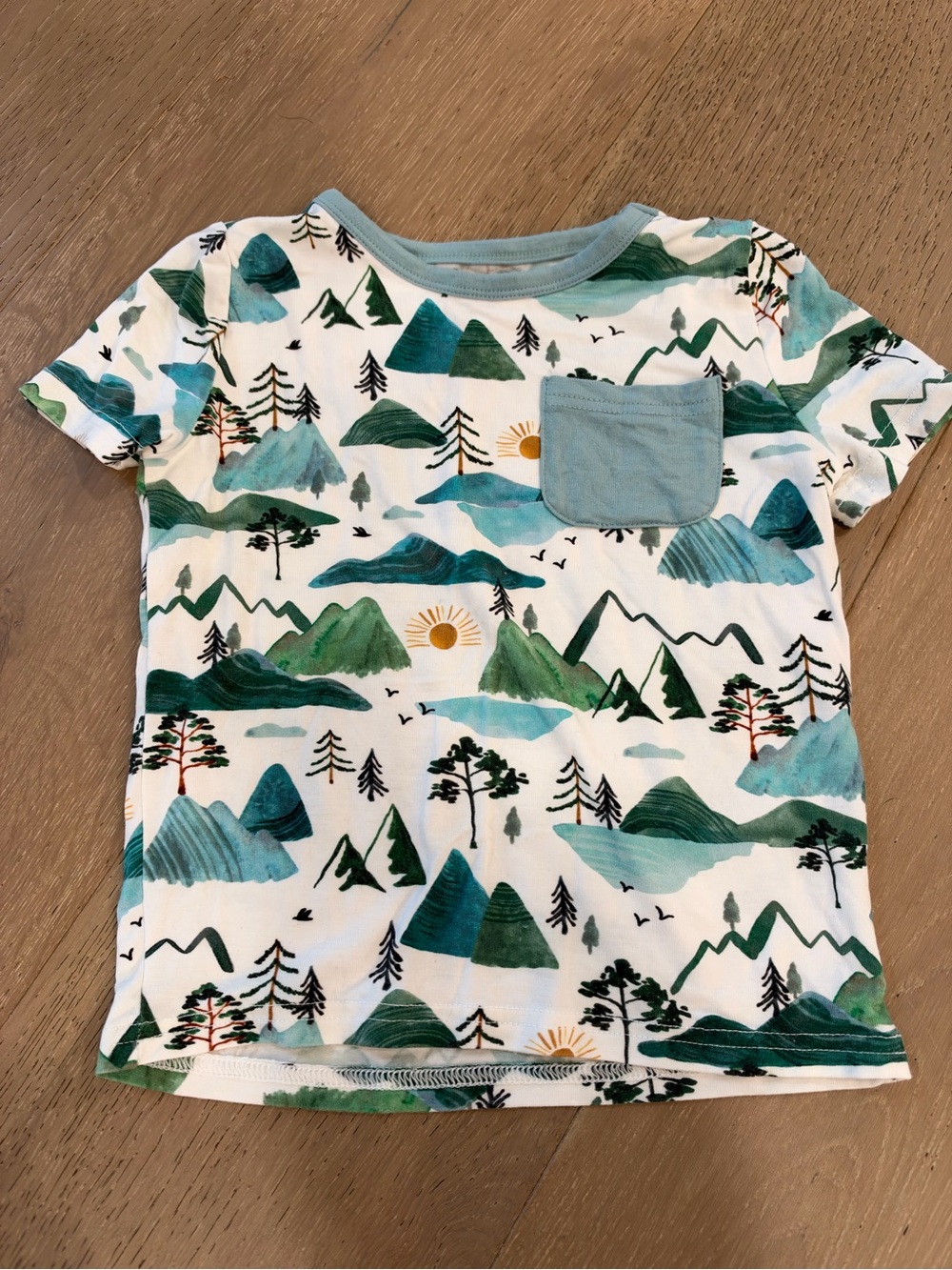 Kids Mountain Print Short Sleeve Tee - Green/Blue